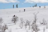 Enlarge photo 15