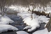 Enlarge photo 24