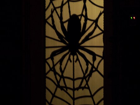 Enlarge photo 5