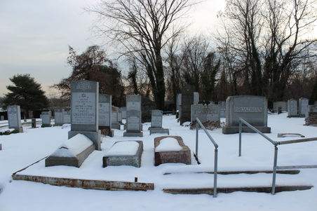 Enlarge photo 6