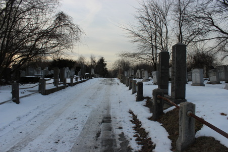 Enlarge photo 5