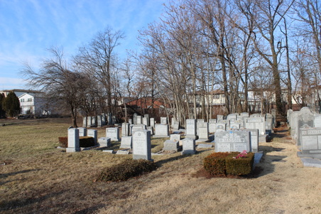 Enlarge photo 20