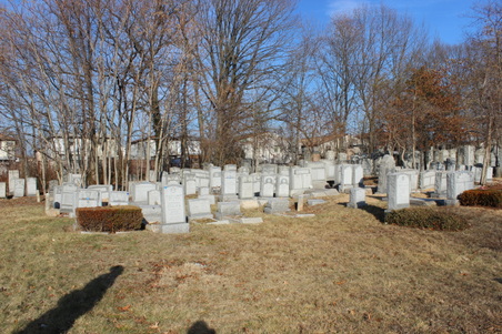 Enlarge photo 18