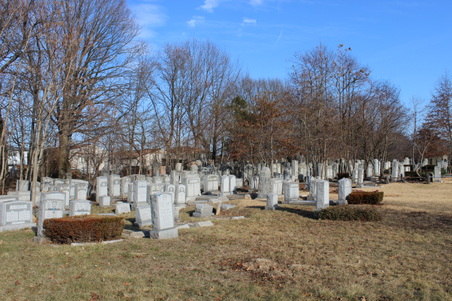 Enlarge photo 15