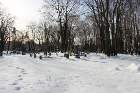Ext. Cemetery/Staten Island