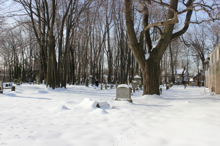 Enlarge photo 2
