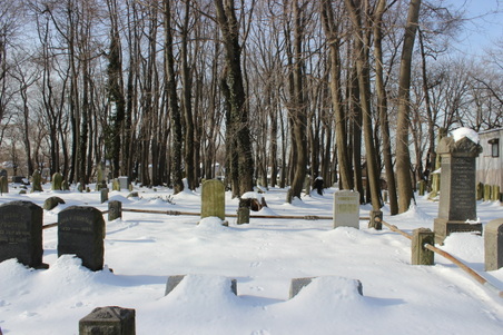 Enlarge photo 6