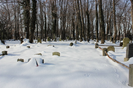 Enlarge photo 7
