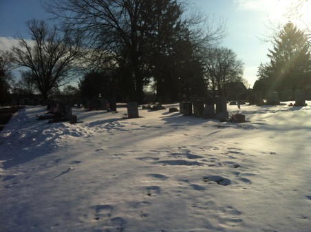 Enlarge photo 3