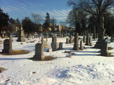 Enlarge photo 5
