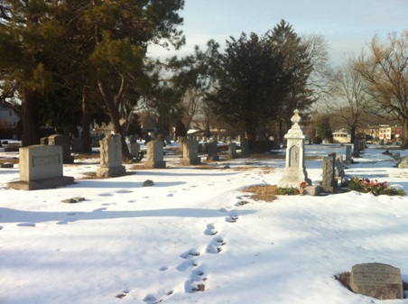 Enlarge photo 7