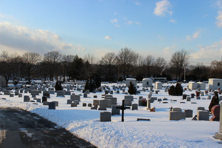 Enlarge photo 7