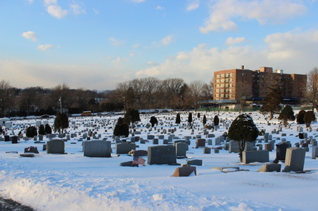 Enlarge photo 17