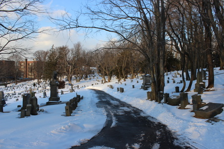 Enlarge photo 21