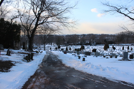 Enlarge photo 23