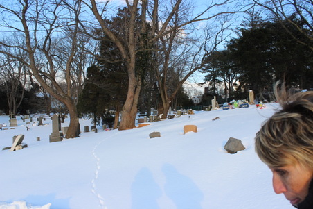 Enlarge photo 24