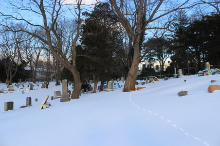 Enlarge photo 25