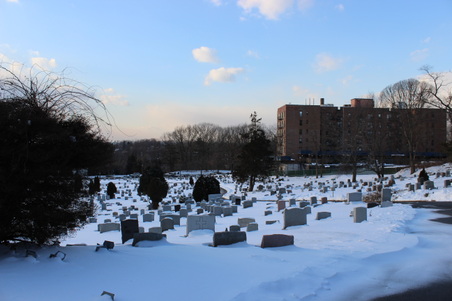 Enlarge photo 26