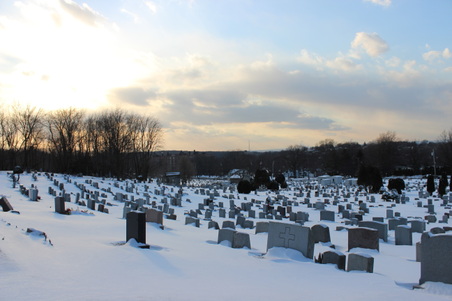 Enlarge photo 27