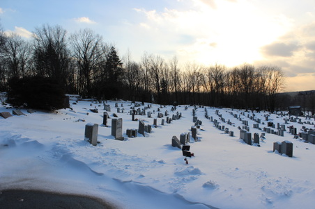 Enlarge photo 30