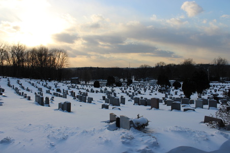 Enlarge photo 31