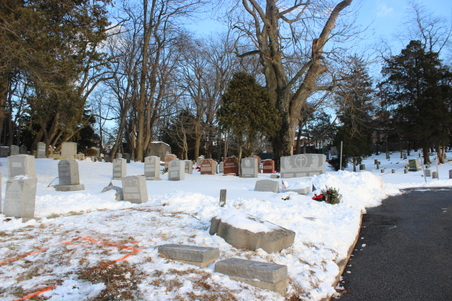 Enlarge photo 33