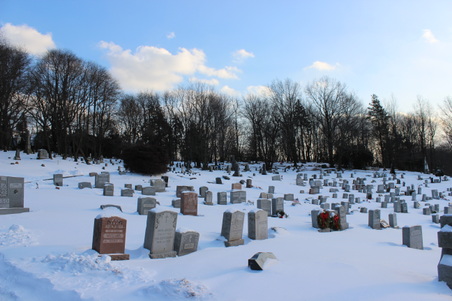 Enlarge photo 35