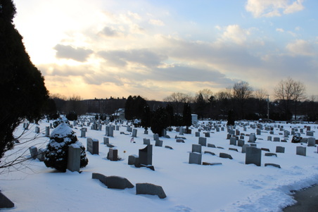 Enlarge photo 36
