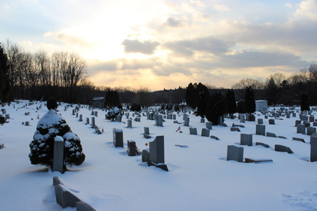 Enlarge photo 37