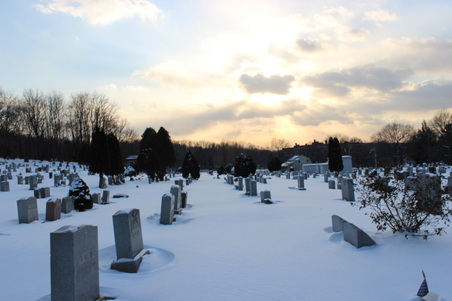 Enlarge photo 38
