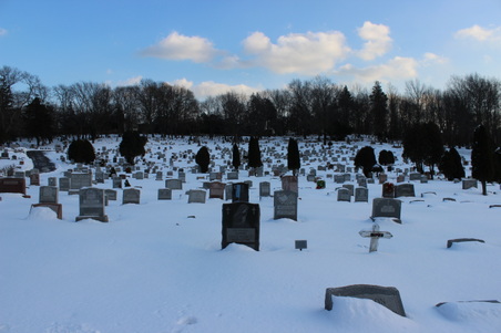 Enlarge photo 40
