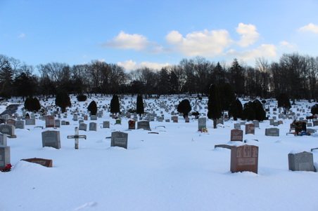 Enlarge photo 41