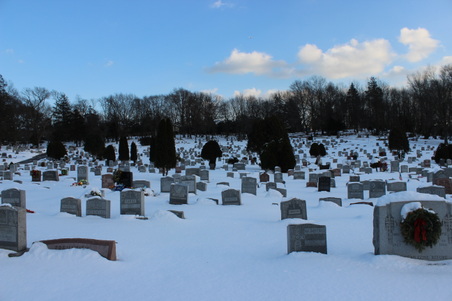 Enlarge photo 42