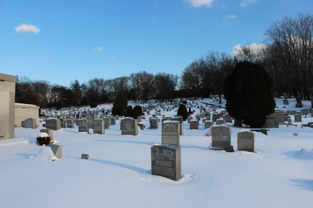Enlarge photo 43