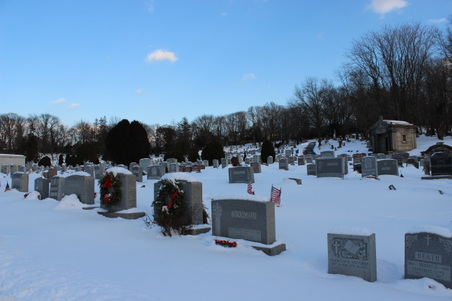 Enlarge photo 45