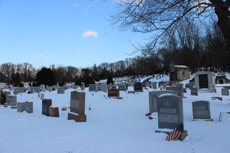 Enlarge photo 46