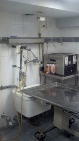 Enlarge photo 16