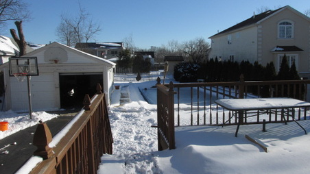 Enlarge photo 67