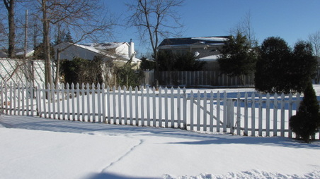 Enlarge photo 75