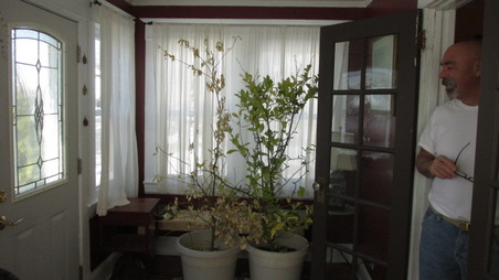 Enlarge photo 11