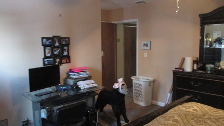Enlarge photo 32