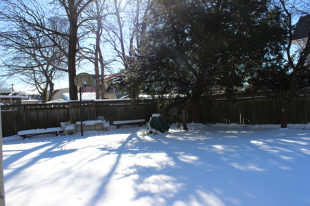 Enlarge photo 35