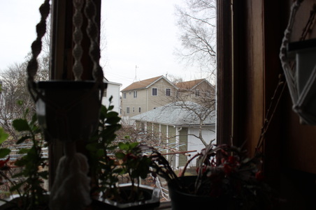 Enlarge photo 36