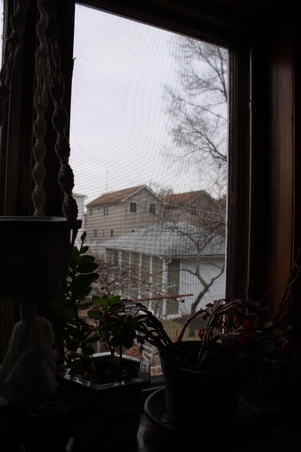 Enlarge photo 37
