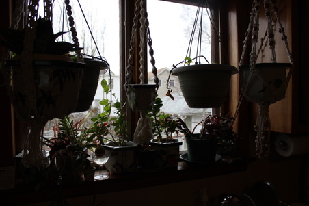 Enlarge photo 43