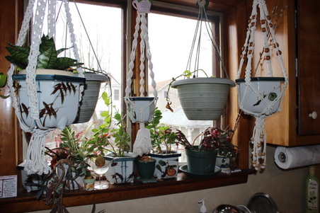 Enlarge photo 44