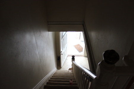 Enlarge photo 27