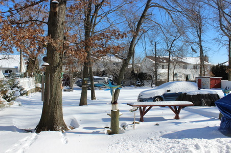 Enlarge photo 53