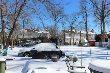 Enlarge photo 55