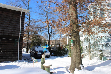 Enlarge photo 58